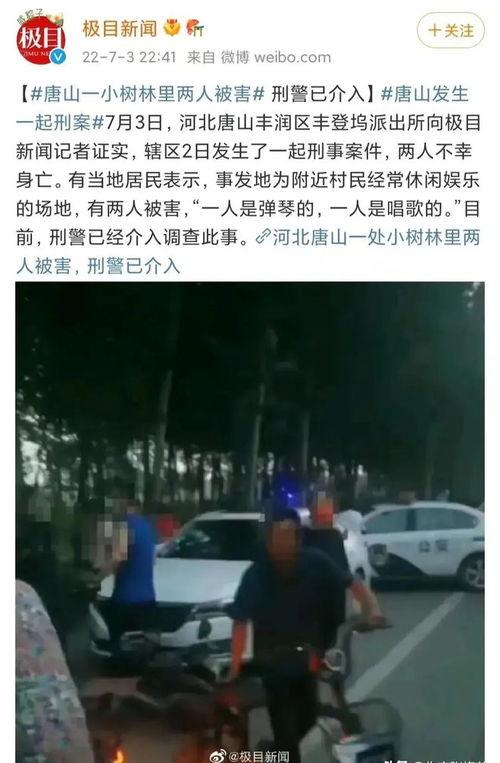 唐山最近爆料案件最新,真相渐明，警方全力侦破